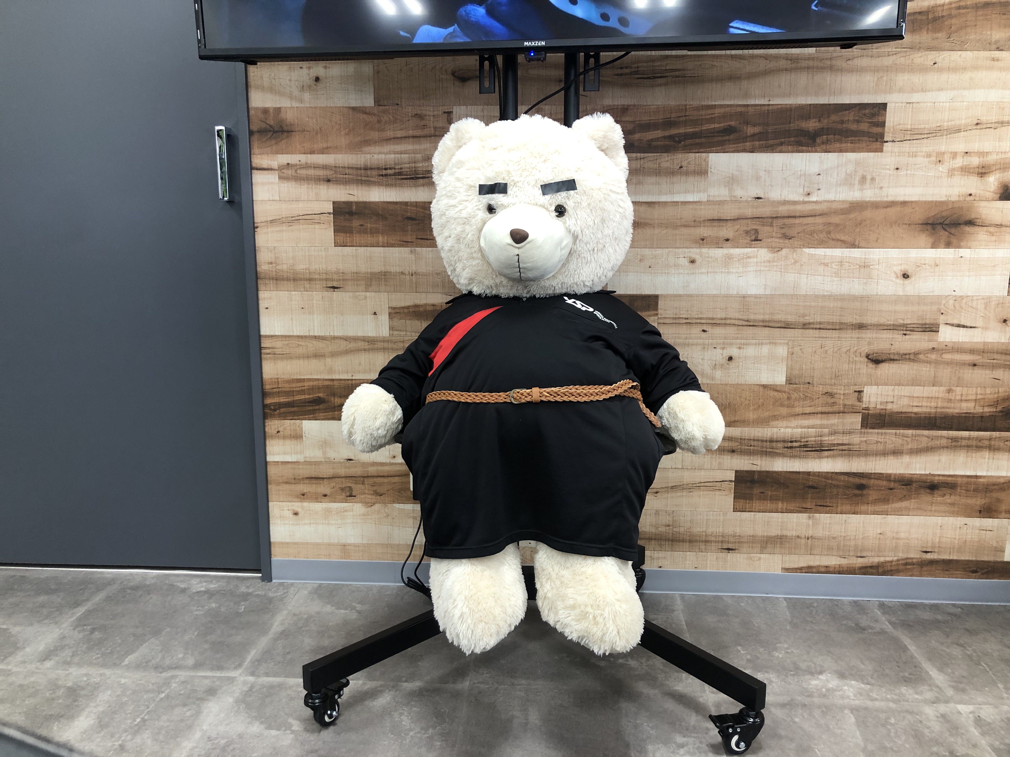 YSP長崎のショールームツアーᓚᘏᗢ ( ◍•㉦•◍ )