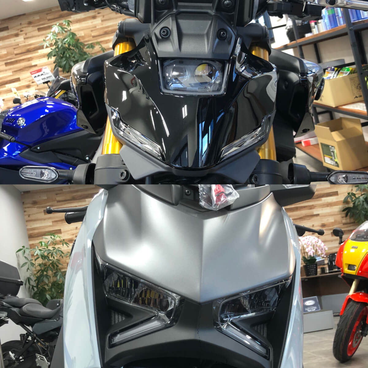 MT-09SPとXMAXが入荷しました