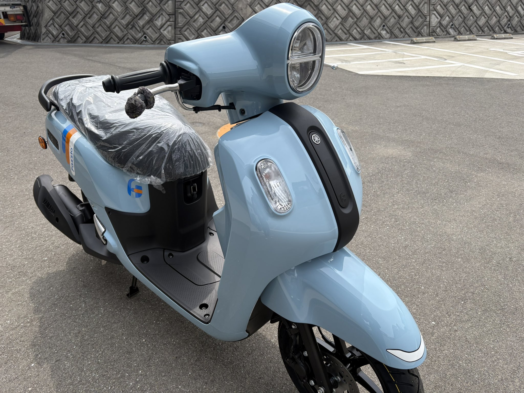 Fazzio入荷しました！